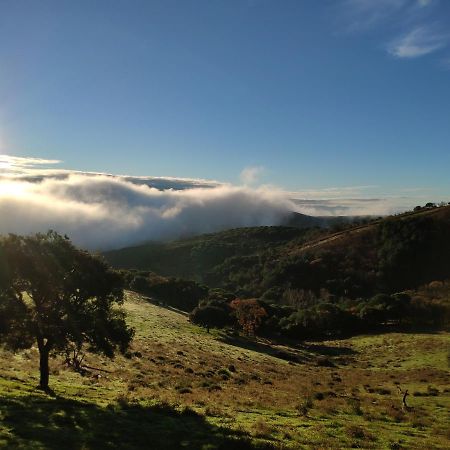 Casa Rural El Trepador Azul Cabeza la Vaca Exteriör bild