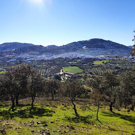 Casa Rural El Trepador Azul Cabeza la Vaca Exteriör bild