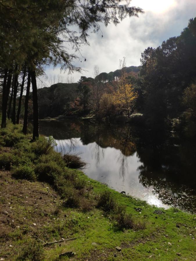 Casa Rural El Trepador Azul Cabeza la Vaca Exteriör bild